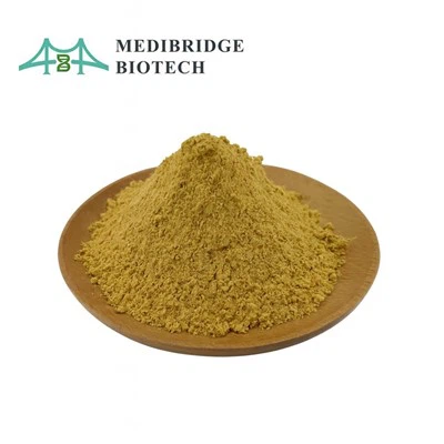 Aloe Vera Extract Powder